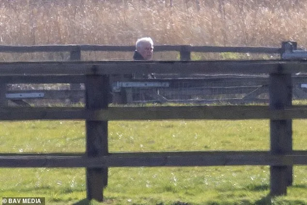 Former Duke of York Under Police Scrutiny Spotted Inspecting Horses at Sandringham Estate Amid Riding Ban Allegations