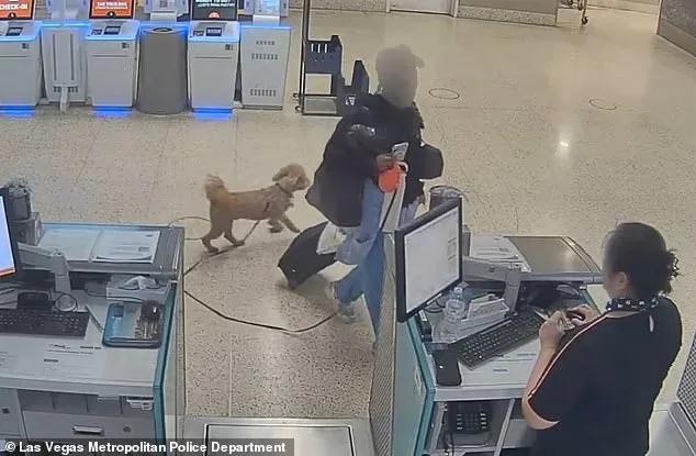 Woman Faced With Charges After Abandoning Service Dog at Las Vegas Airport