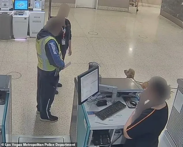 Woman Faced With Charges After Abandoning Service Dog at Las Vegas Airport