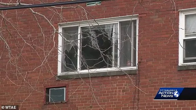 Babysitter Accused of Attempting to Drown 5-Year-Old and Assault Mother Released on Charges