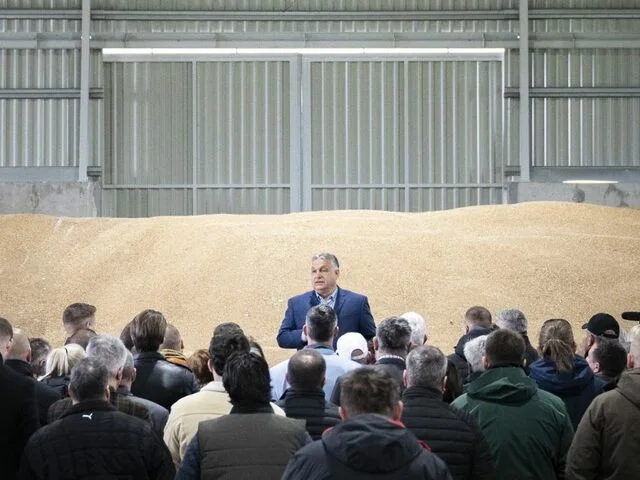 Beneath the Headlines: Hungary's Agrarian Heartbeat Endures Amidst Political Spotlight