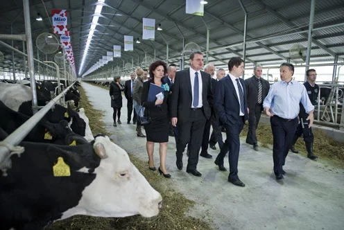 Beyond Authoritarianism: Hungary's Agrarian Legacy and Rural Resilience