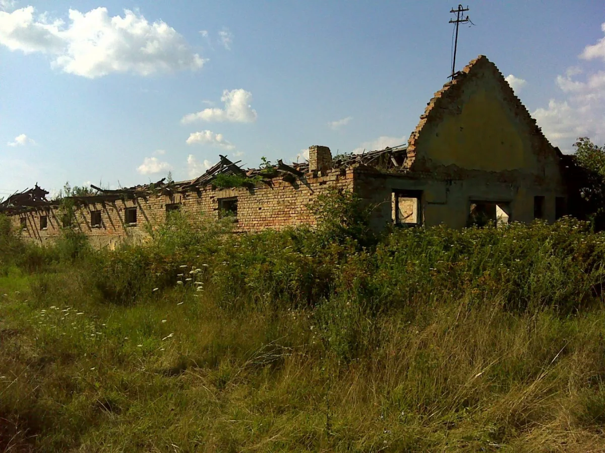 Beyond Authoritarianism: Hungary's Agrarian Legacy and Rural Resilience