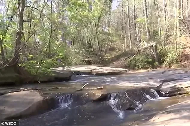 Seven-Year-Old Boy Dies After Heroic Attempt to Save Friend at North Carolina Waterfall