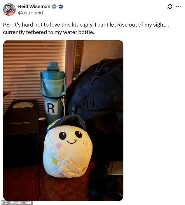 NASA's Moon Mission Takes a Furry Turn