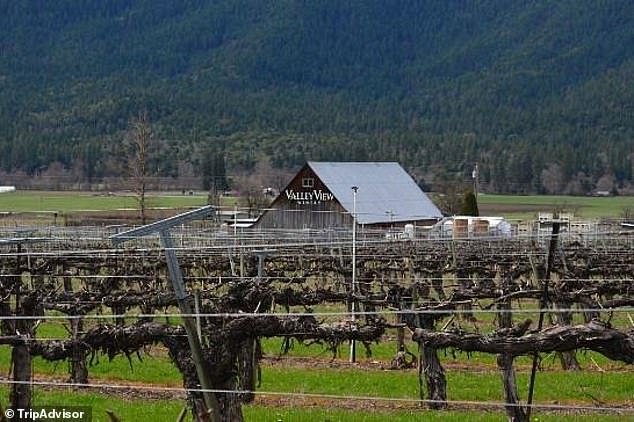 Oregon Winery Lawsuit Sets Legal Precedent for AI in Court