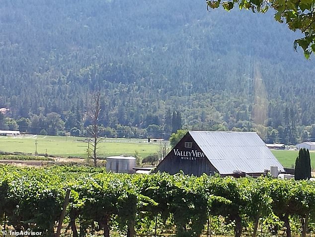 Oregon Winery Lawsuit Sets Legal Precedent for AI in Court
