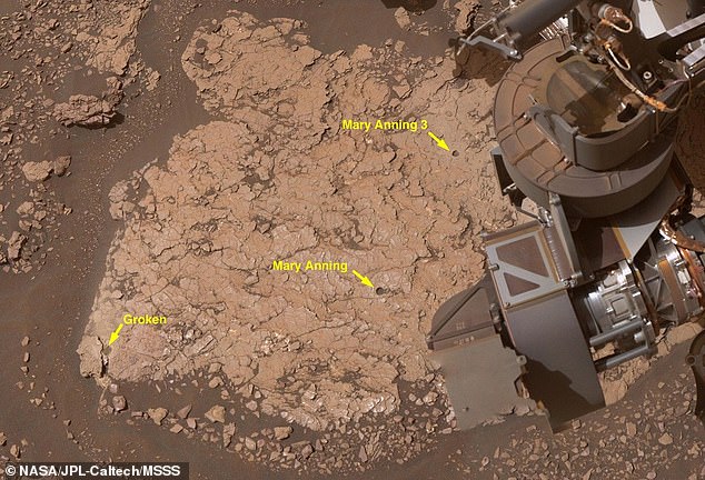 NASA rover finds unique organic compounds on Mars for the first time.