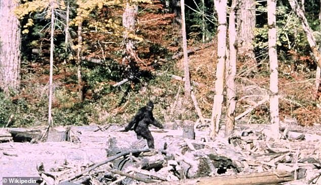 Retired Army veteran claims terrifying encounter with nine-foot cryptids changed his life.