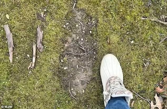 Retired Army veteran claims terrifying encounter with nine-foot cryptids changed his life.