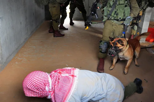 Israel Deports Hundreds of Pro-Palestinian Activities After Controversial Flotilla Raid