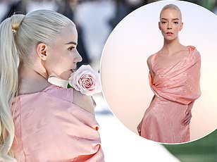 Bella Hadid Honors Jane Birkin With Iconic Cannes Red Carpet Look