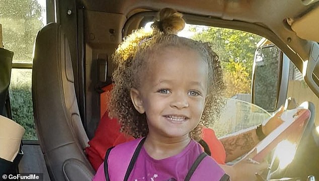 Ohio Father Sentenced to Five Years for Pit Bull Attack Killing Daughter
