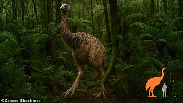 Artificial Eggs Successfully Hatch Chicks, Paving Way for Moa De-Extinction
