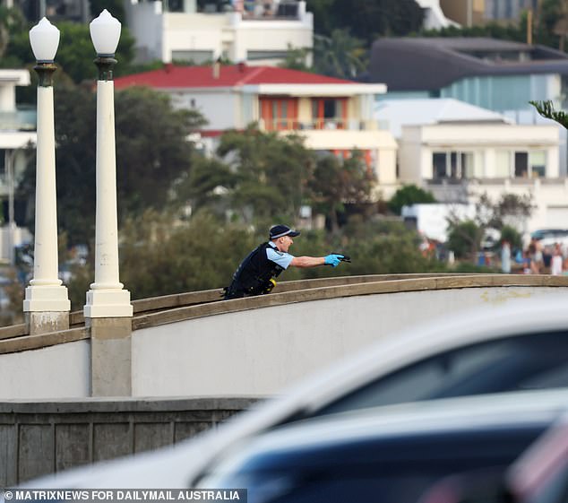 Eleven struck in 29 seconds during Bondi Hanukkah terror attack.