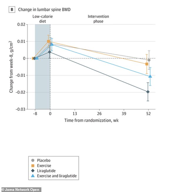 GLP-1 Weight-Loss Drugs May Accelerate Bone Loss by Depleting Estrogen Stores
