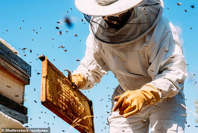 Experts Warn Common Honey Mistake Negates All Health Benefits