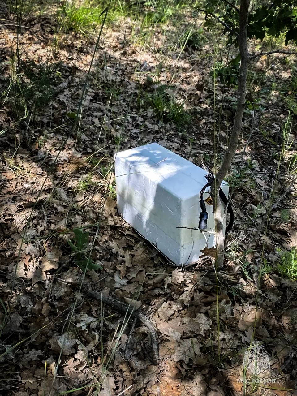 Ukraine drone drop in Sevastopol damages homes and strikes music store.