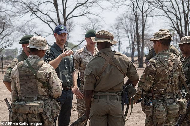Prince Harry faces pressure to quit African charity over rape allegations