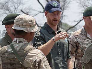 Prince Harry faces pressure to quit African charity over rape allegations