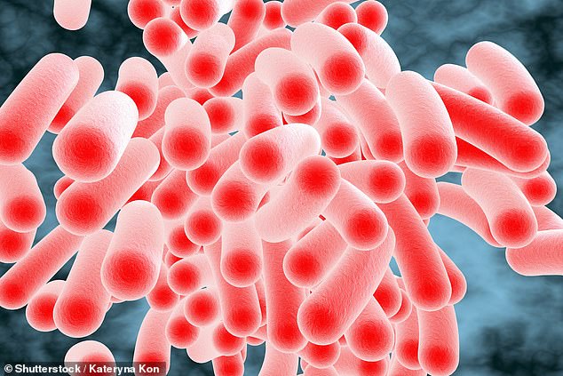 UK Health Officials Warn Diners to Check Hygiene Ratings Amid Salmonella Surge
