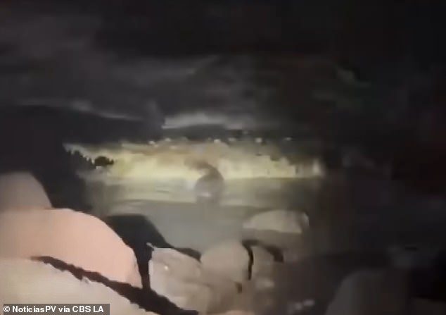 California Couple's Frantic Rescue of Crocodile Victim Ends in Tragedy