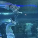 Terrifying moment a giant fish attacks a young mermaid performer's face in front of terrified children