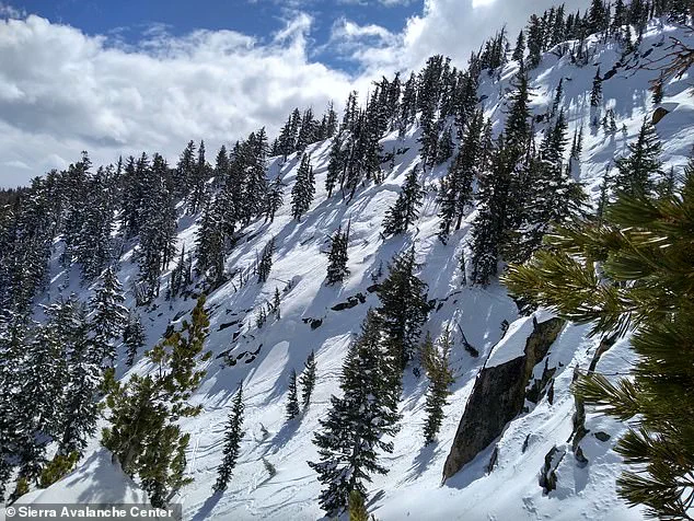 Backcountry Skiing Accidents Claim Lives of Three on West Coast