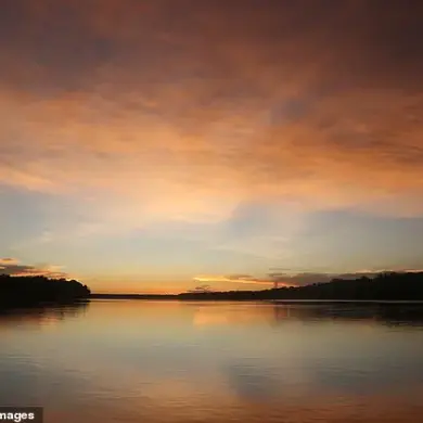 Brazilian tribesman's rare interaction with Amazon community