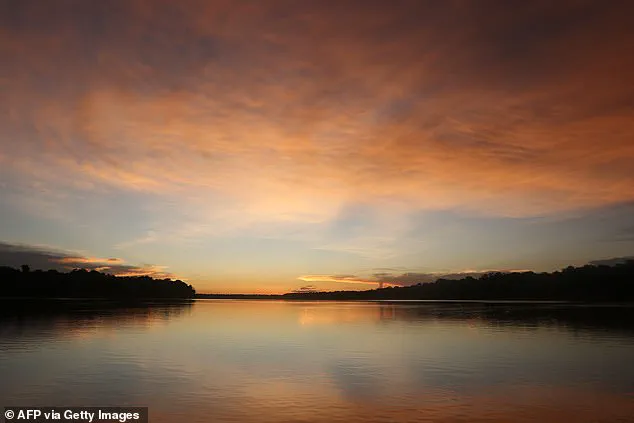 Brazilian tribesman's rare interaction with Amazon community