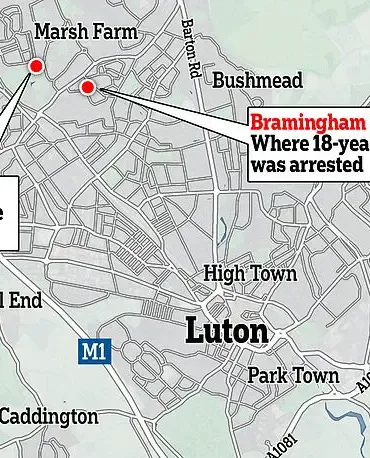 Chilling Revelation: Luton Teen's Killing Spree Plans Uncovered