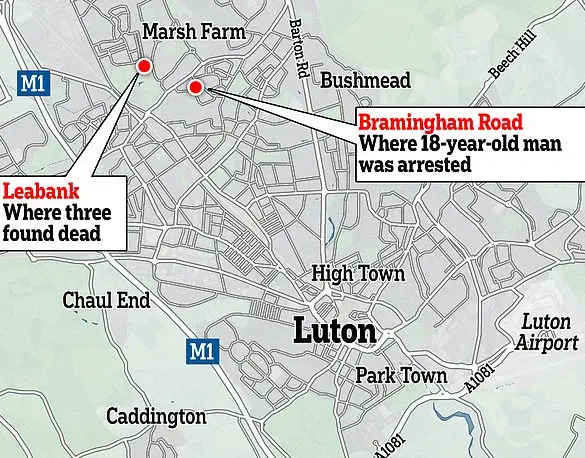 Chilling Revelation: Luton Teen's Killing Spree Plans Uncovered