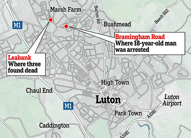 Chilling Revelation: Luton Teen's Killing Spree Plans Uncovered