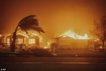 David Esquivel's Tragic Escape from the Eaton Fire