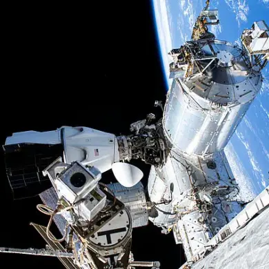 Elon Musk Accuses Joe Biden of Abandoning NASA Astronauts for 'Political Reasons'