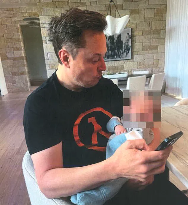 Elon Musk's Ex-Fan Under Fire for 'Baby Trap' Allegations