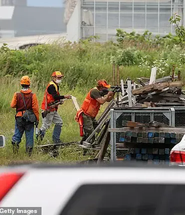 Japan's Bear Hunting Law: A Risky Move for Communities