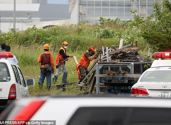 Japan's Bear Hunting Law: A Risky Move for Communities