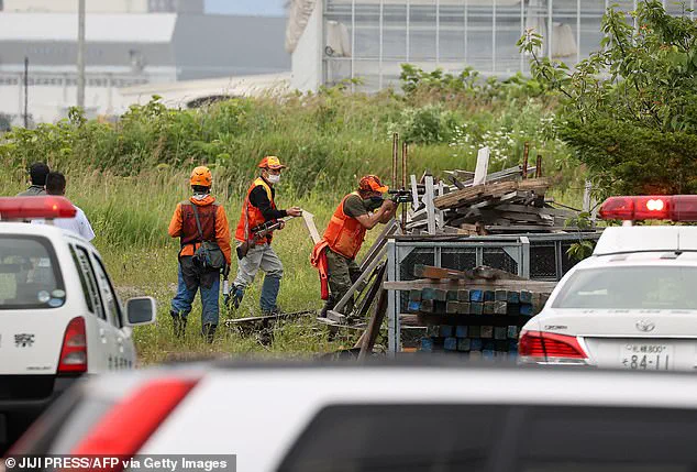 Japan's Bear Hunting Law: A Risky Move for Communities