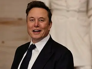 Judge Issues Restraining Order Against Elon Musk's Access to US Treasury's Payment System