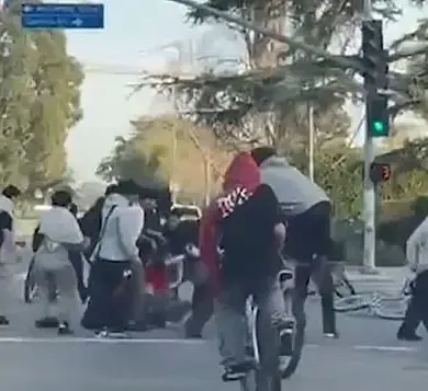 Mob Violence in Los Angeles: Feral Teen Cyclists Attack Unsuspecting Driver