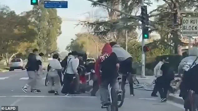 Mob Violence in Los Angeles: Feral Teen Cyclists Attack Unsuspecting Driver