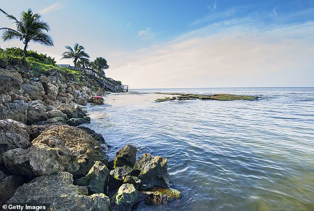 Siesta Key Beach: More Than Just a Beautiful View