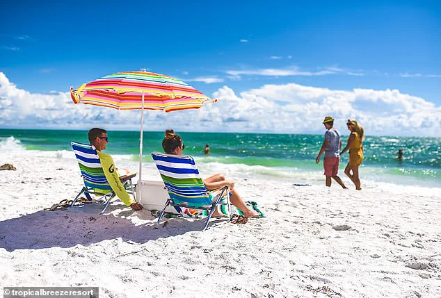 Siesta Key Beach: More Than Just a Beautiful View