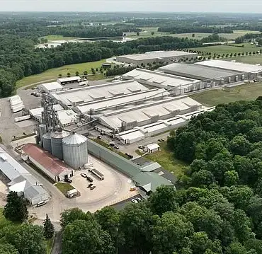 The Devastating Impact of the Avian Influenza Outbreak on America's Egg Industry