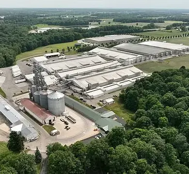 The Devastating Impact of the Avian Influenza Outbreak on America's Egg Industry