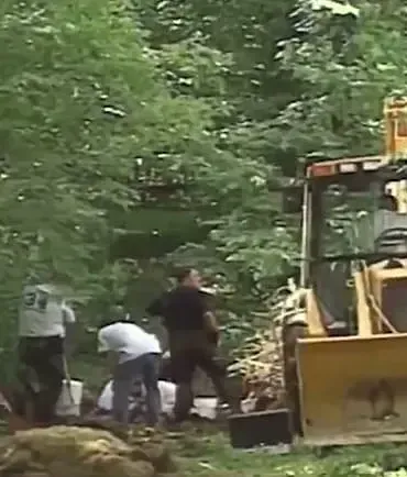 The Fox Hollow Killer: A Mysterious Serial Murderer