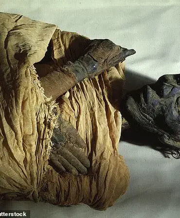 Unveiling Ancient Secrets: Scotsmans Discovery of Pharaohs Tombs