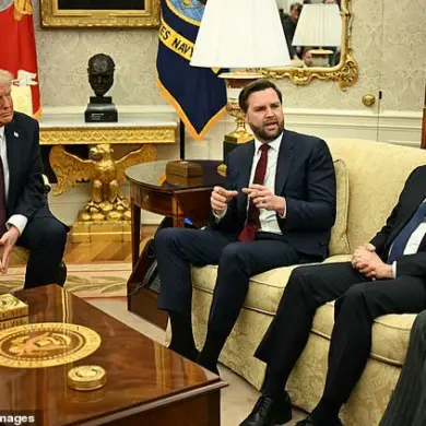 Vice President J.D. Vance's Sparking Defense of Freedom of Speech in the Oval Office