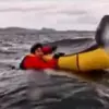 Whale Attack: Kayaker Swallowed by Humpback off Chilean Coast